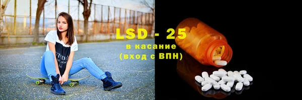индика Арсеньев