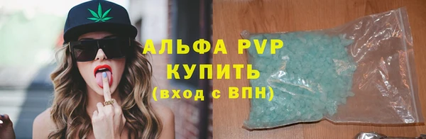 индика Арсеньев