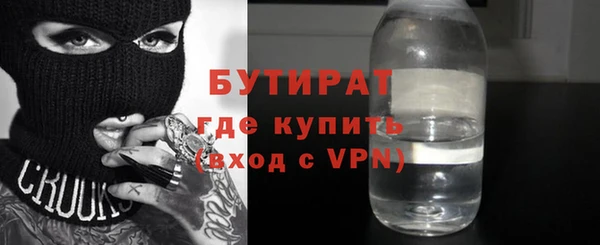 индика Арсеньев