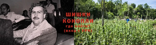 сатива Белоозёрский