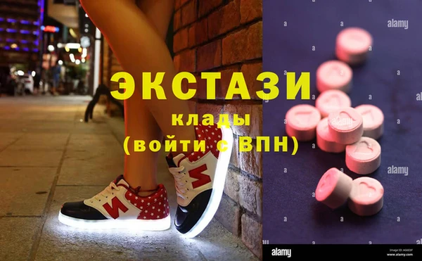 индика Арсеньев