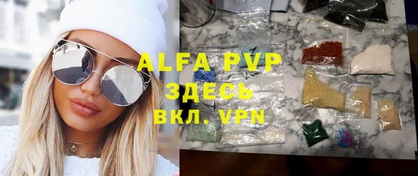индика Арсеньев
