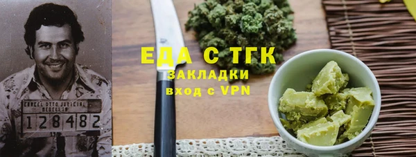 индика Арсеньев