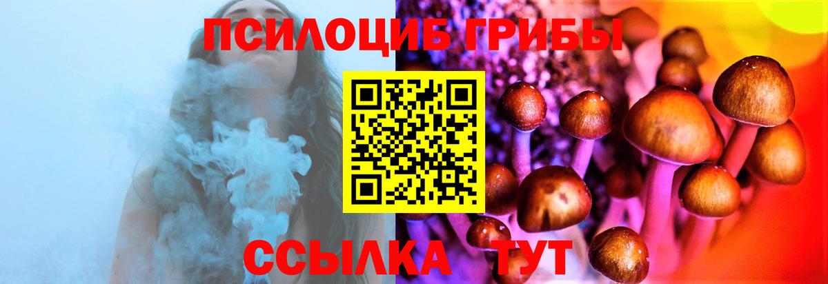 Сочи  Псилоцибиновые грибы мухоморы  Вход с VPN 